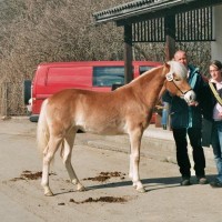 20080309-jaehrlingsbrennen-2