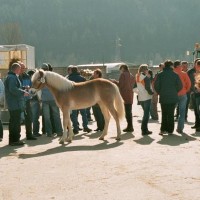 20080309-jaehrlingsbrennen-3