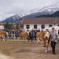 stutbuchaufnahme-davos-1