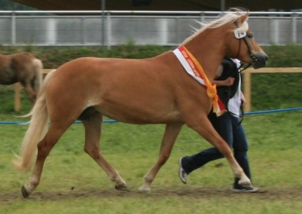 (News) autkion-3.jpg (News) autkion-3.jpg